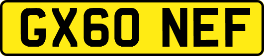 GX60NEF