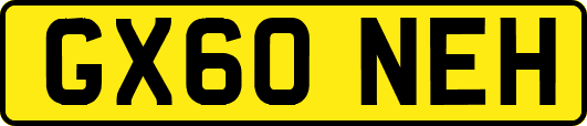 GX60NEH