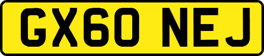 GX60NEJ