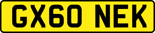 GX60NEK