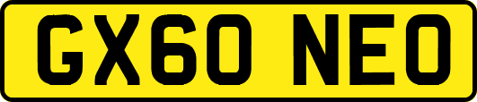 GX60NEO