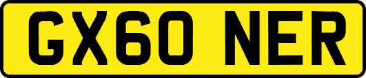 GX60NER