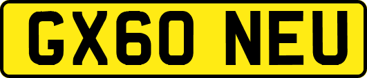 GX60NEU