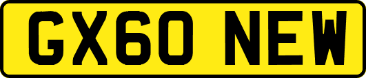 GX60NEW