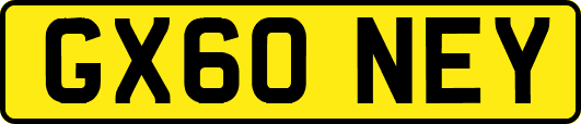 GX60NEY