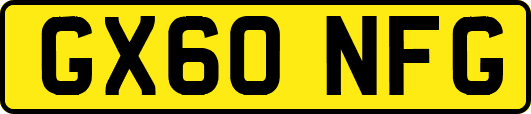 GX60NFG