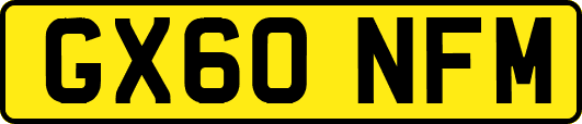 GX60NFM