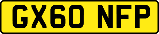 GX60NFP