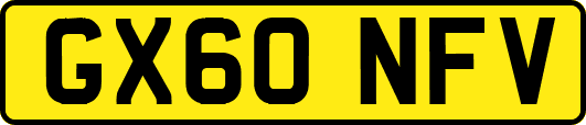 GX60NFV