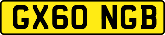 GX60NGB