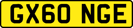 GX60NGE