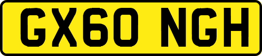 GX60NGH