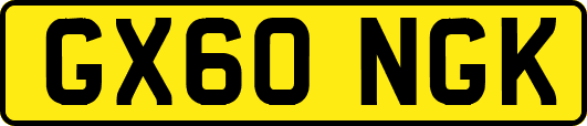 GX60NGK