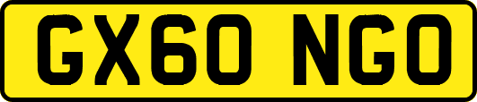 GX60NGO