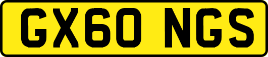 GX60NGS