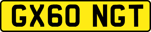 GX60NGT