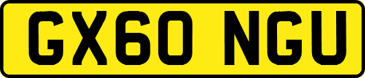 GX60NGU