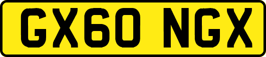 GX60NGX