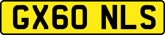 GX60NLS