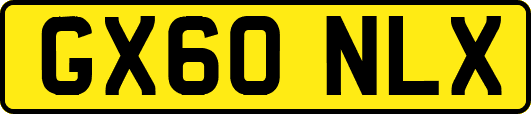 GX60NLX