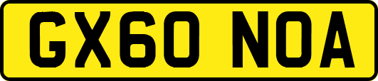 GX60NOA