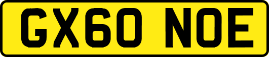 GX60NOE