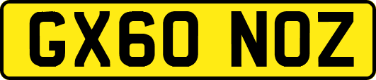 GX60NOZ