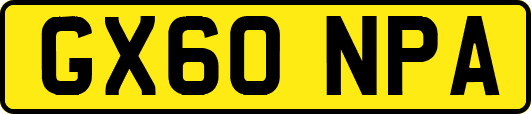 GX60NPA