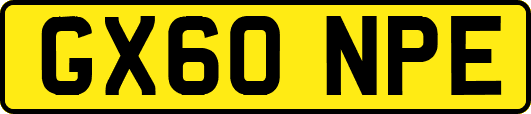 GX60NPE