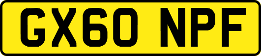GX60NPF
