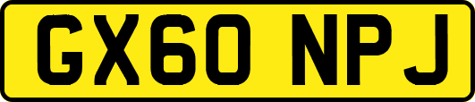 GX60NPJ