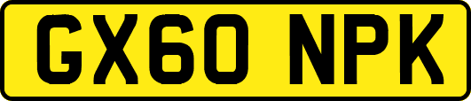 GX60NPK