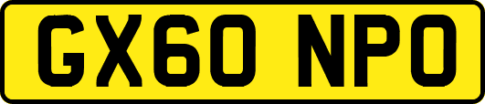 GX60NPO