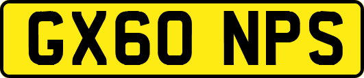 GX60NPS
