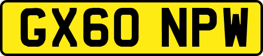 GX60NPW