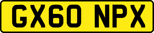 GX60NPX
