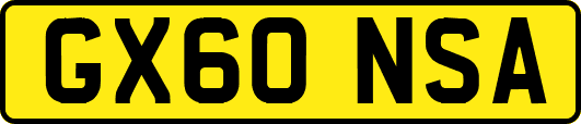 GX60NSA