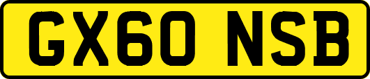 GX60NSB