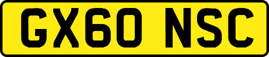 GX60NSC