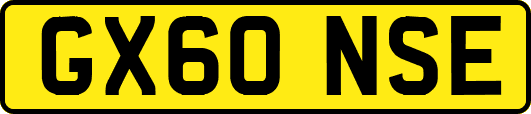 GX60NSE