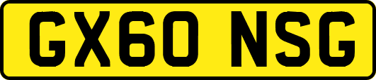 GX60NSG