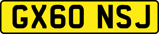 GX60NSJ