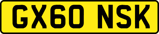 GX60NSK