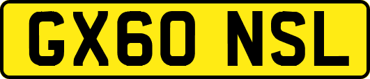 GX60NSL