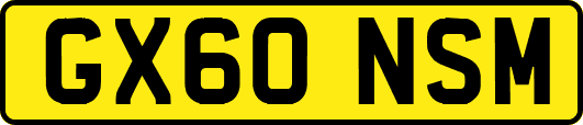 GX60NSM