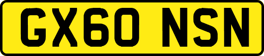 GX60NSN