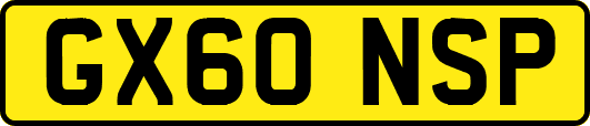 GX60NSP