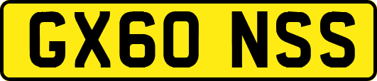 GX60NSS