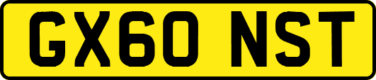 GX60NST