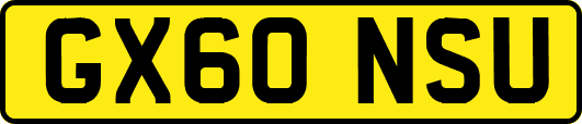 GX60NSU